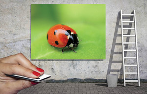 impression numerique directe aluminium dibond