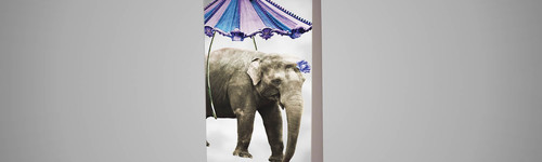 Enrouleur, Roll Up Recto Verso 120 cm