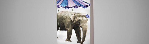 Enrouleur, Roll Up Recto Verso 150 cm