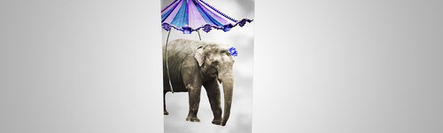 Enrouleur, Roll Up Standard 80 cm de largeur et 200 cm de hauteur