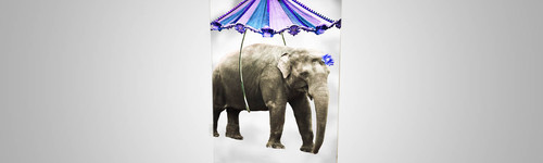 Enrouleur, Roll Up Standard 100 cm de largeur et 200 cm de hauteur