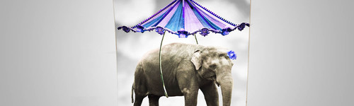 Enrouleur, Roll Up Standard 150 cm de largeur et 200 cm de hauteur