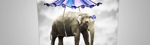 Enrouleur, Roll Up Standard 200 cm  de largeur et 200 cm de hauteur